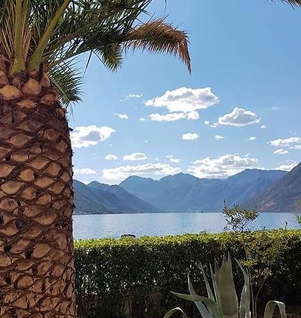 Apartment Maniva Kotor Bagian luar foto
