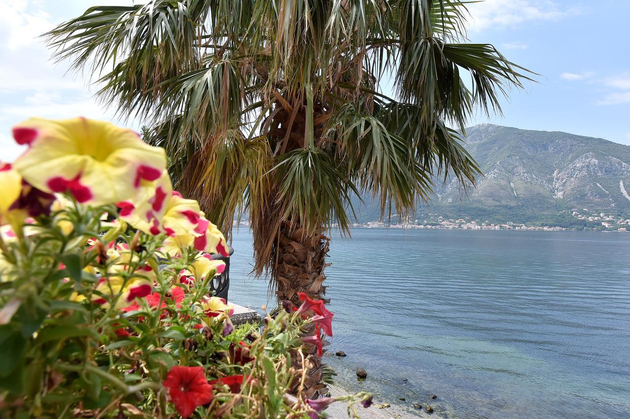 Apartment Maniva Kotor Bagian luar foto