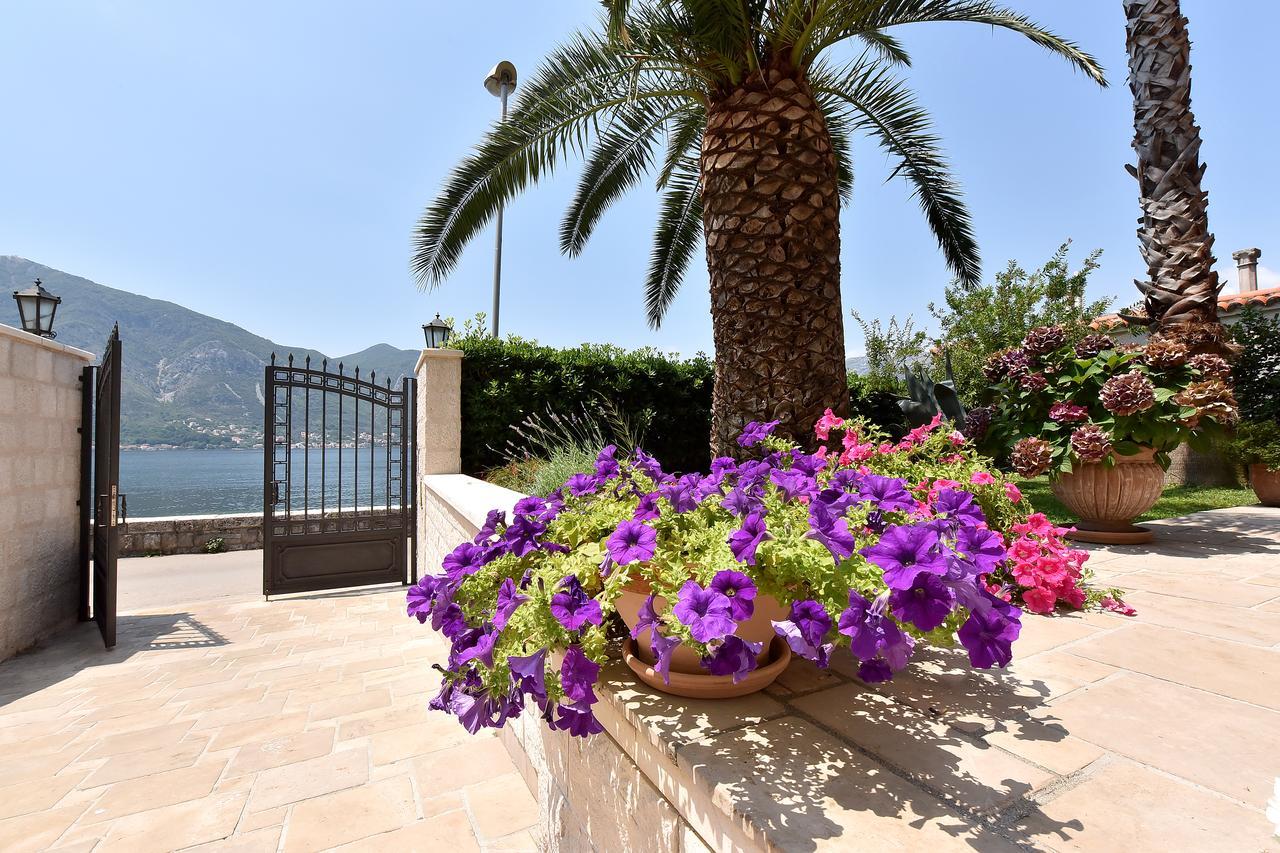 Apartment Maniva Kotor Bagian luar foto